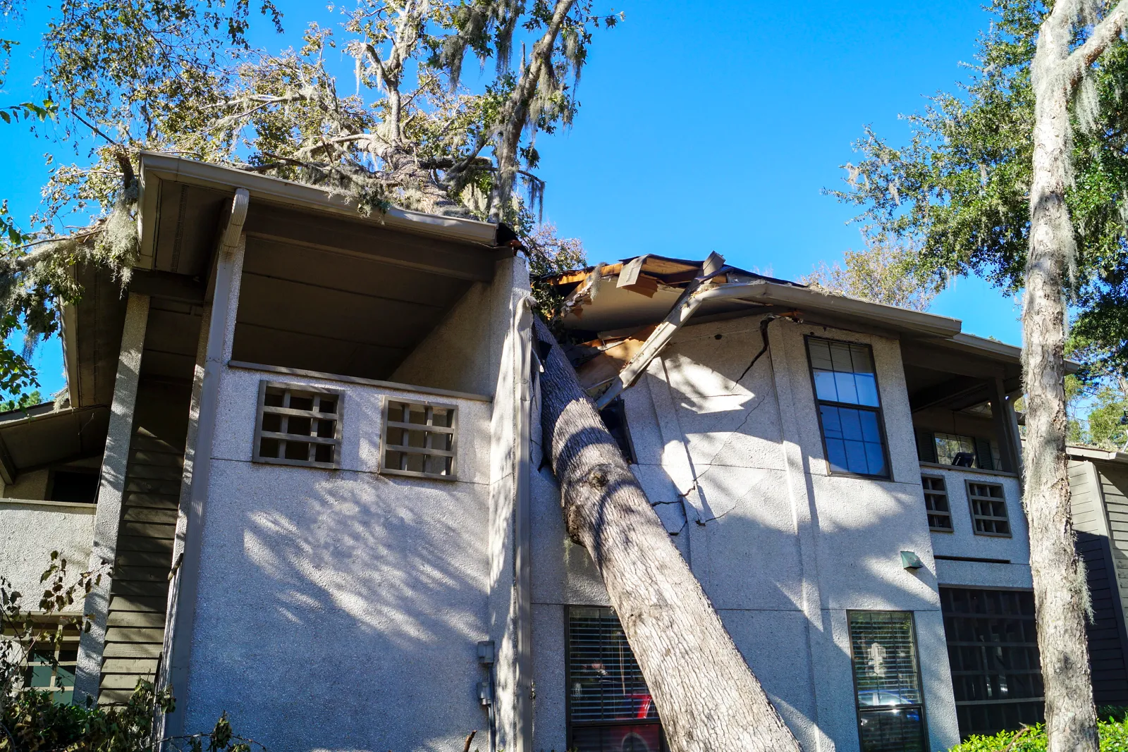 Trees May Damage The Shingles