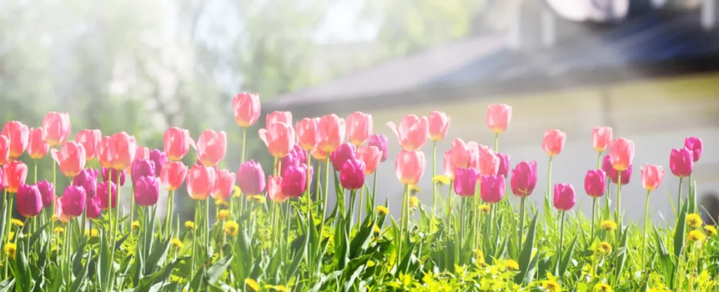 Spring-e1614098575513-1024x358