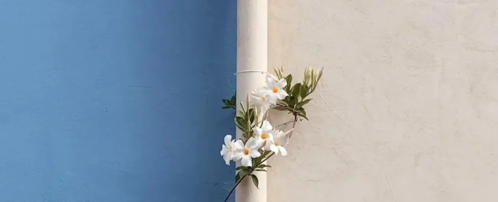 northpointroofingsystemscom_813338023