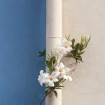 northpointroofingsystemscom_813338023