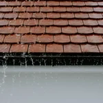 pexels-adrien-olichon-2663254