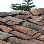 pexels-miguel-a-padrinan-1453799