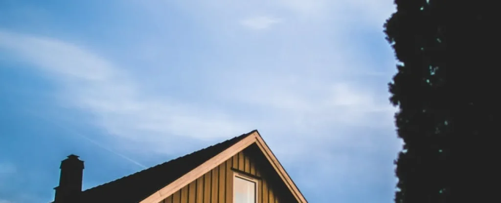 pexels-sindre-strom-966387