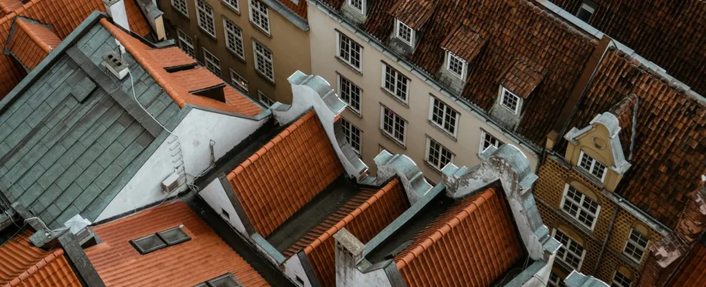 polina-kuzovkova-gwXLtj-EM5M-unsplash