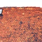 simon-maage-XQOY27HmvGQ-unsplash